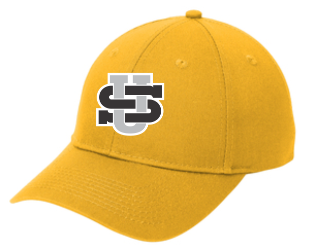 House Baseball Hats